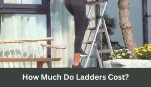 How Much Do Ladders Cost
